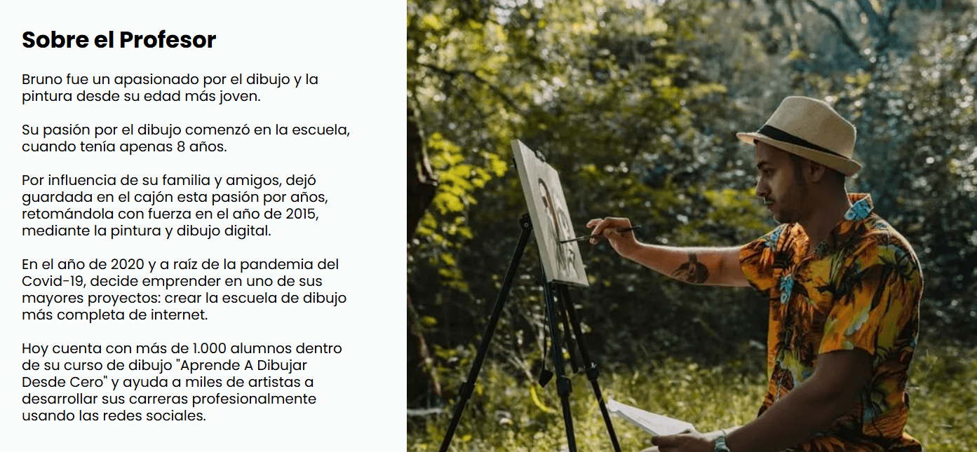 Sobre el Profesor & Plataforma