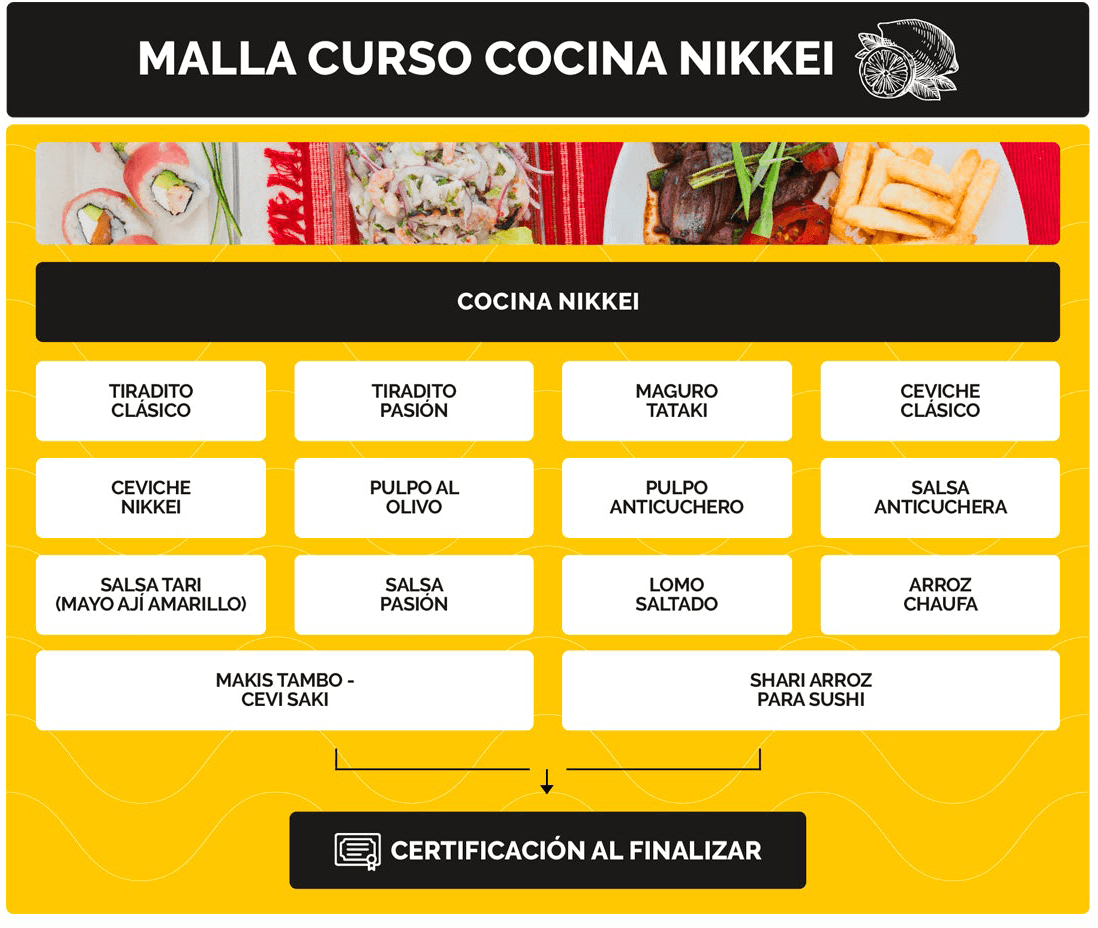 Malla Curricular Cocina Nikkei